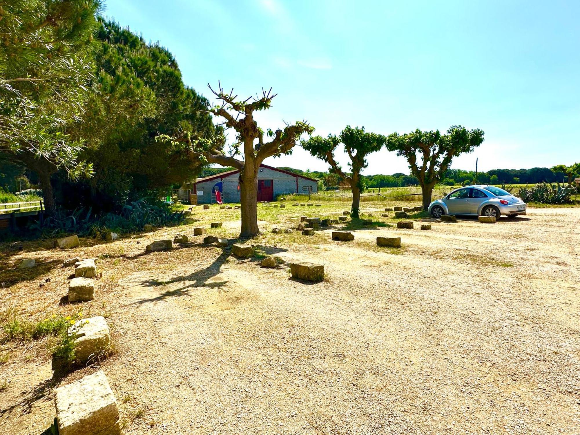 Les Appartements Du Mas - Rose Marie Aigues-Mortes Exterior photo